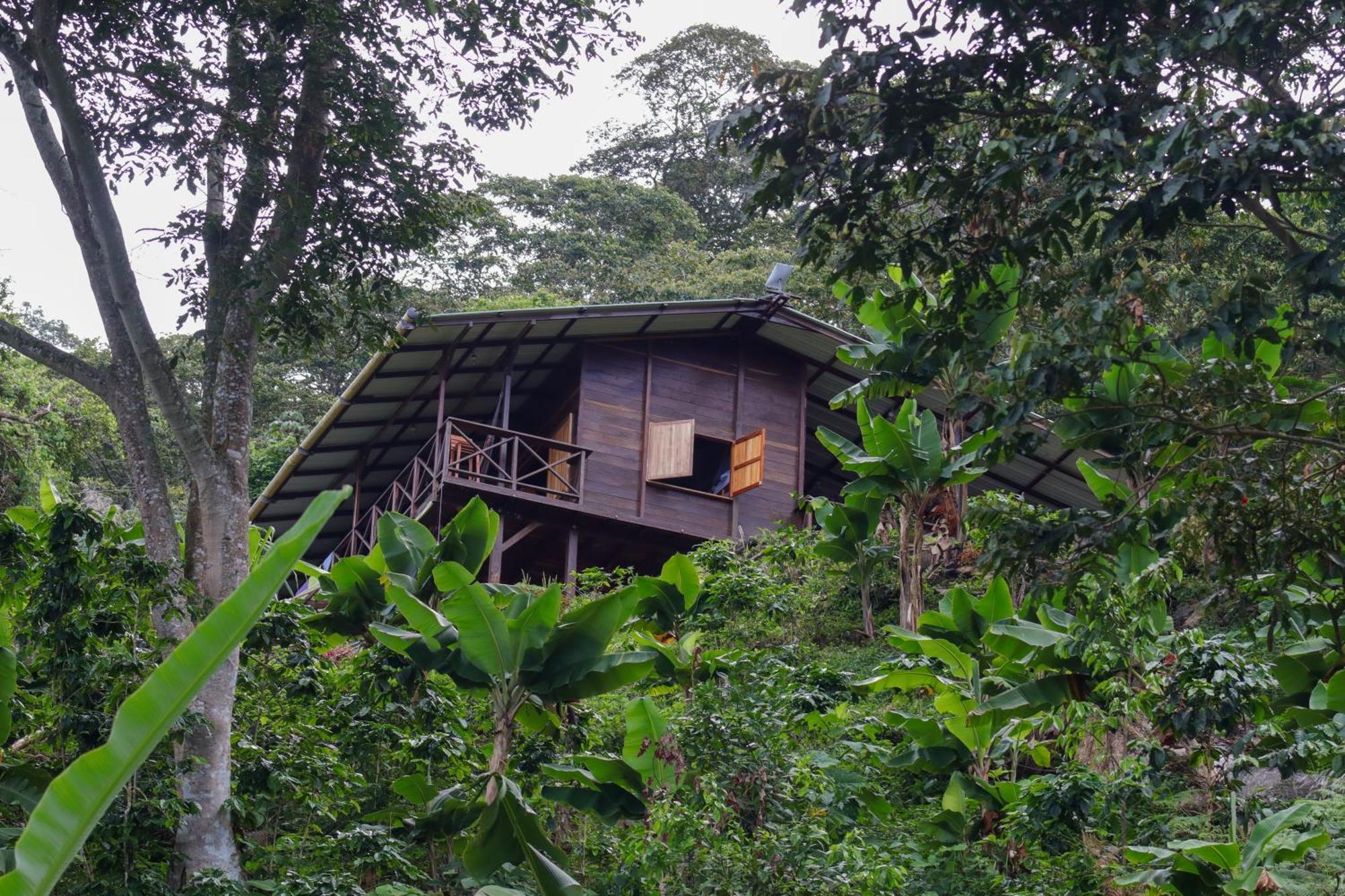 Mano Verde Minca Exterior foto