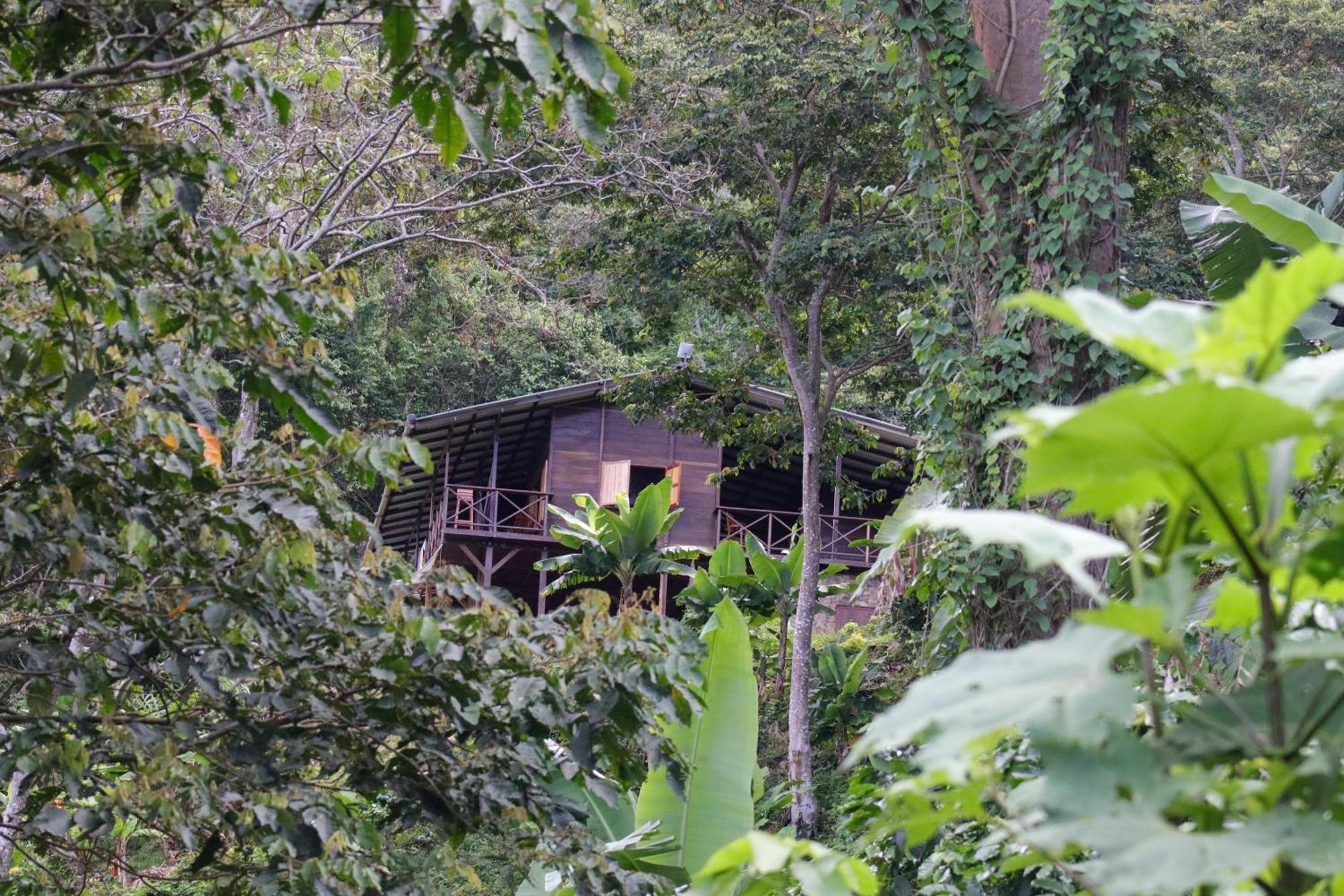Mano Verde Minca Exterior foto
